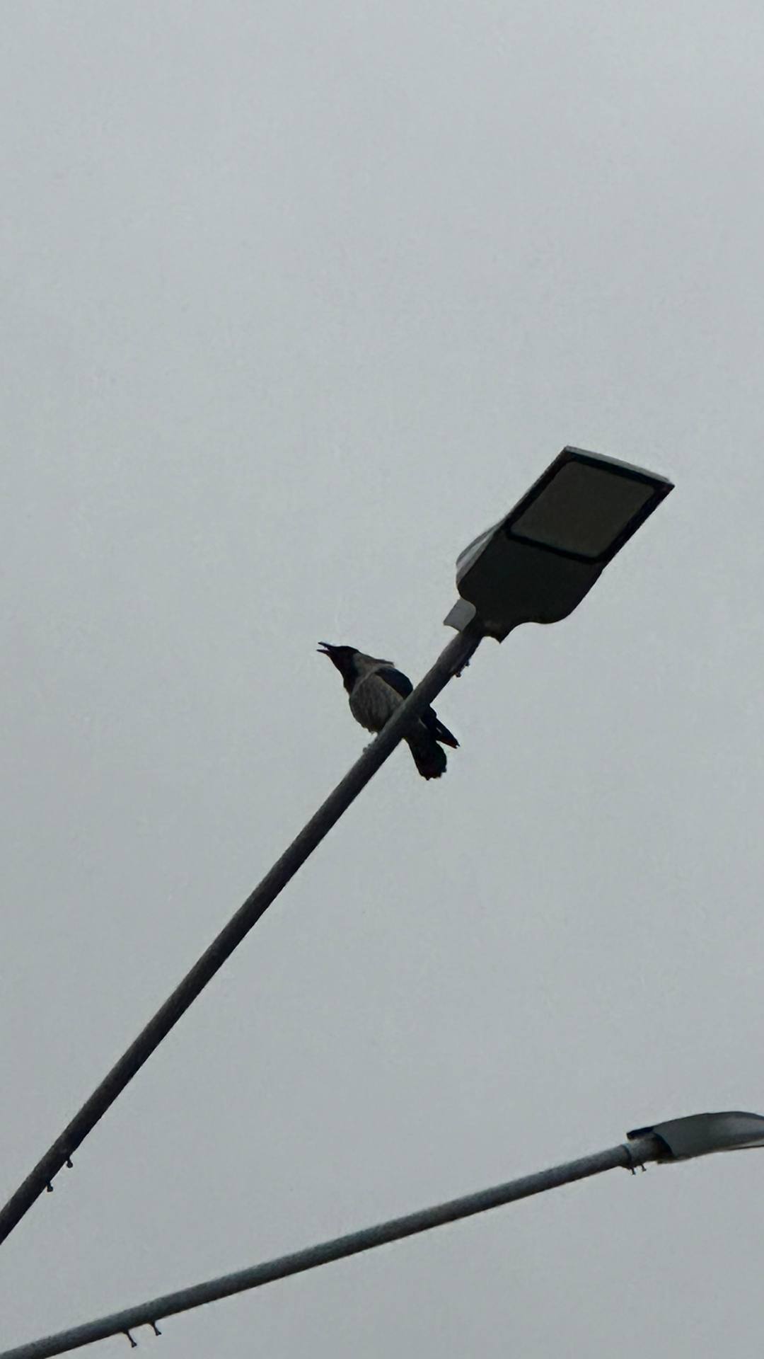 В переулках